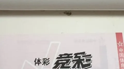 宁德时代抛售5亿资产，体育竞猜，，湖南裕能闯关香港资本市场深度解析